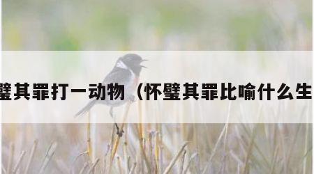 怀璧其罪打一动物（怀璧其罪比喻什么生肖）