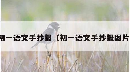 初一语文手抄报（初一语文手抄报图片）