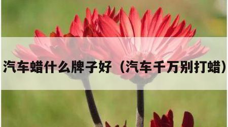 汽车蜡什么牌子好（汽车千万别打蜡）