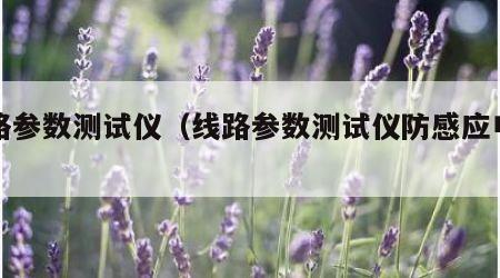 线路参数测试仪（线路参数测试仪防感应电装置）