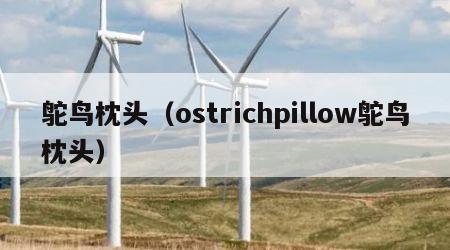 鸵鸟枕头（ostrichpillow鸵鸟枕头）