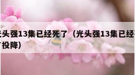 光头强13集已经死了（光头强13集已经死了投降）