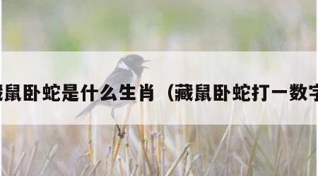 藏鼠卧蛇是什么生肖（藏鼠卧蛇打一数字）