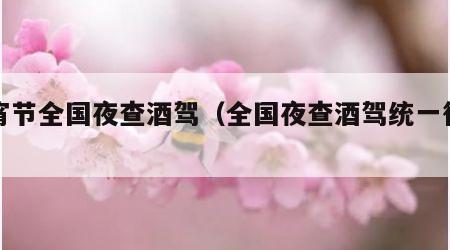元宵节全国夜查酒驾（全国夜查酒驾统一行动）
