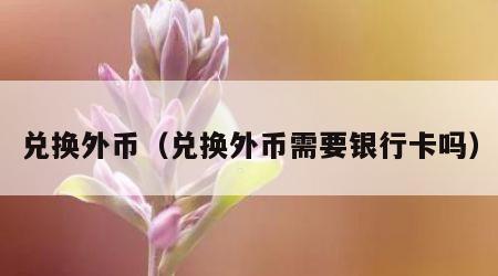 兑换外币（兑换外币需要银行卡吗）