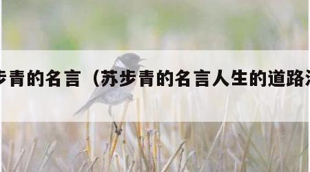 苏步青的名言（苏步青的名言人生的道路漫长）