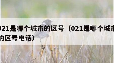 021是哪个城市的区号（021是哪个城市的区号电话）