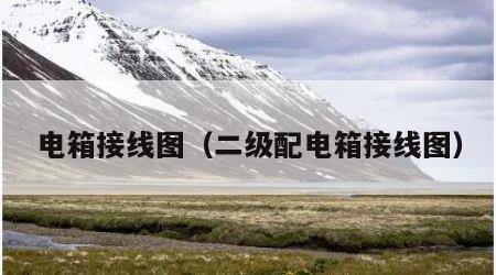 电箱接线图（二级配电箱接线图）