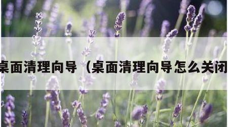 桌面清理向导（桌面清理向导怎么关闭）
