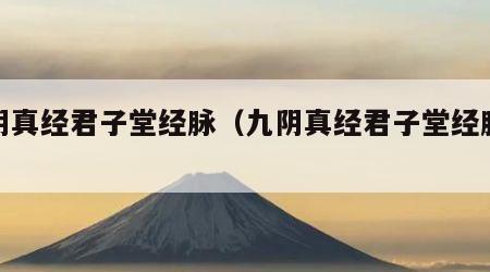 九阴真经君子堂经脉（九阴真经君子堂经脉选择）