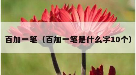 百加一笔（百加一笔是什么字10个）