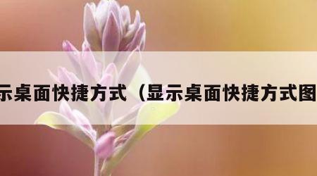 显示桌面快捷方式（显示桌面快捷方式图标）