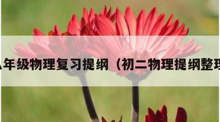 八年级物理复习提纲（初二物理提纲整理）