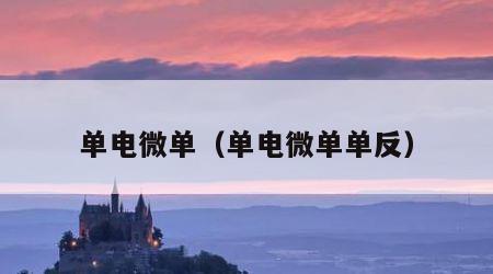 单电微单（单电微单单反）