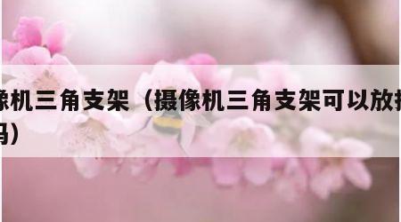 摄像机三角支架（摄像机三角支架可以放投影仪吗）