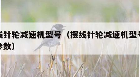 摆线针轮减速机型号（摆线针轮减速机型号大全参数）