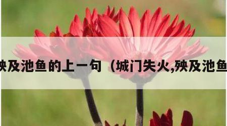 殃及池鱼的上一句（城门失火,殃及池鱼）