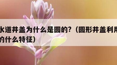 下水道井盖为什么是圆的?（圆形井盖利用了圆的什么特征）