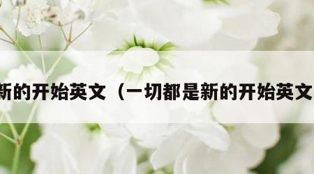 新的开始英文（一切都是新的开始英文）