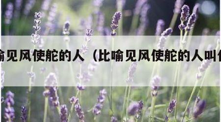 比喻见风使舵的人（比喻见风使舵的人叫什么）