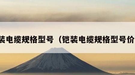 铠装电缆规格型号（铠装电缆规格型号价钱）