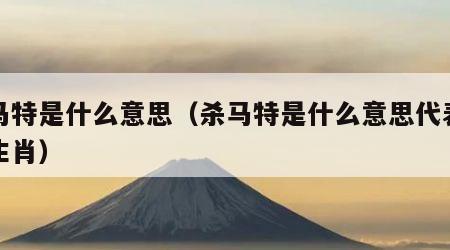 杀马特是什么意思（杀马特是什么意思代表什么生肖）
