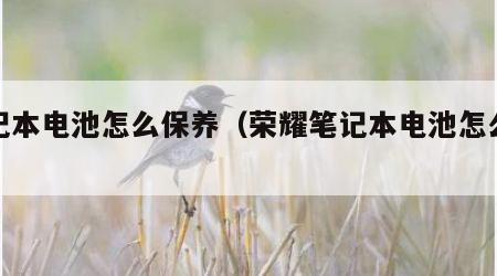 笔记本电池怎么保养（荣耀笔记本电池怎么保养）