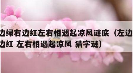 左边绿右边红左右相遇起凉风谜底（左边绿 右边红 左右相遇起凉风 猜字谜）