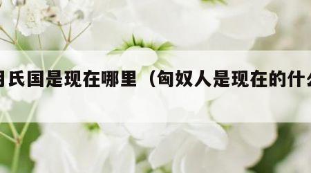 大月氏国是现在哪里（匈奴人是现在的什么人）