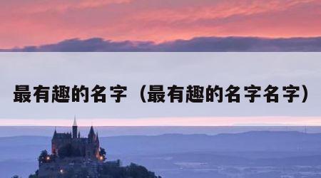 最有趣的名字（最有趣的名字名字）