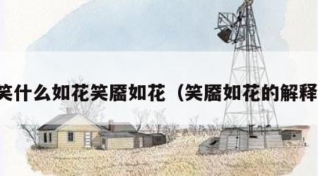 笑什么如花笑靥如花（笑靥如花的解释）