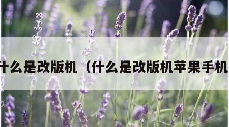什么是改版机（什么是改版机苹果手机）