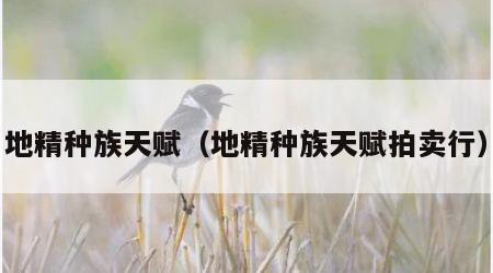 地精种族天赋（地精种族天赋拍卖行）