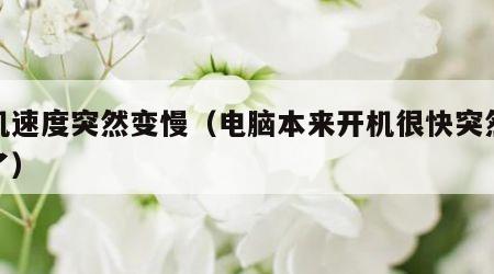 开机速度突然变慢（电脑本来开机很快突然变慢了）