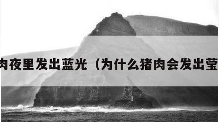 猪肉夜里发出蓝光（为什么猪肉会发出莹光）