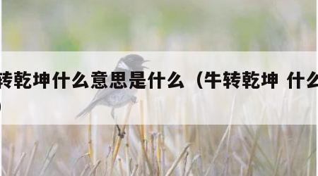 牛转乾坤什么意思是什么（牛转乾坤 什么意思）