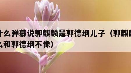 为什么弹幕说郭麒麟是郭德纲儿子（郭麒麟为什么和郭德纲不像）