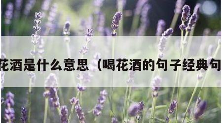 喝花酒是什么意思（喝花酒的句子经典句子）