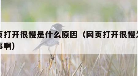 网页打开很慢是什么原因（网页打开很慢怎么回事啊）