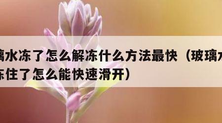 玻璃水冻了怎么解冻什么方法最快（玻璃水已经冻住了怎么能快速滑开）