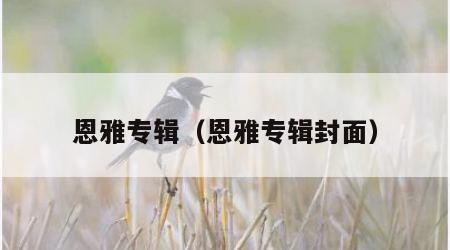恩雅专辑（恩雅专辑封面）