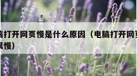 电脑打开网页慢是什么原因（电脑打开网页网速很慢）