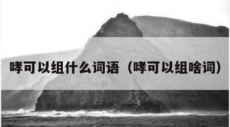 哮可以组什么词语（哮可以组啥词）