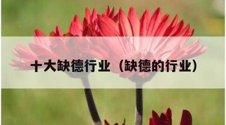 十大缺德行业（缺德的行业）