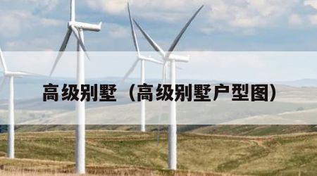 高级别墅（高级别墅户型图）