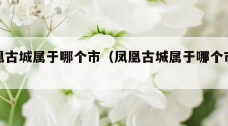 凤凰古城属于哪个市（凤凰古城属于哪个市管）