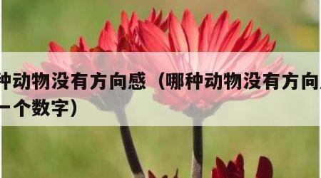 哪种动物没有方向感（哪种动物没有方向感?打一个数字）