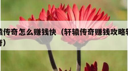 轩辕传奇怎么赚钱快（轩辕传奇赚钱攻略轩辕传奇）