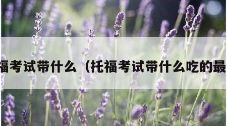托福考试带什么（托福考试带什么吃的最好）