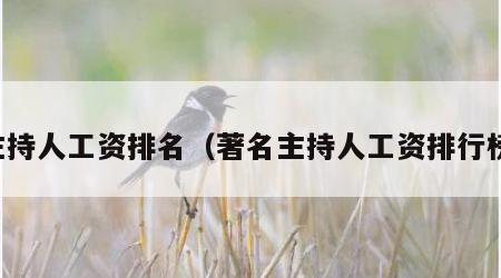 主持人工资排名（著名主持人工资排行榜）